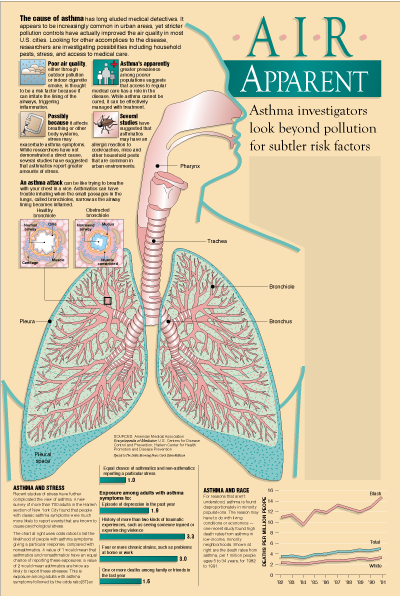ASTHMA FACTORS